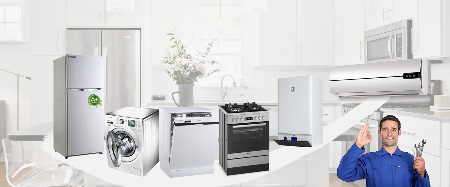 Delice Electrolux Servisi